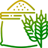solar installation & repair